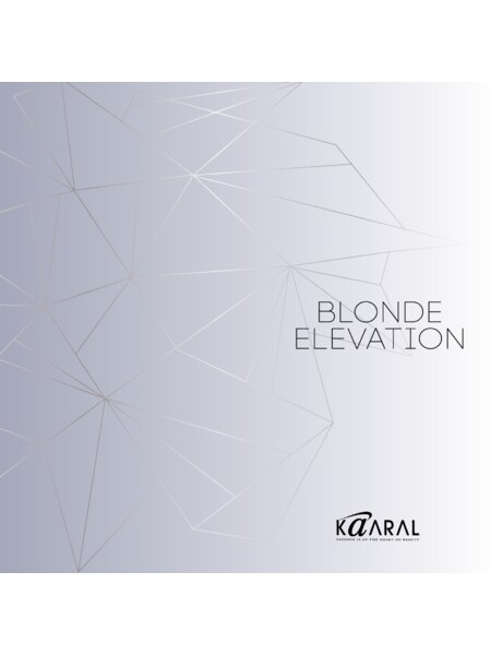 BLONDE ELEVATION